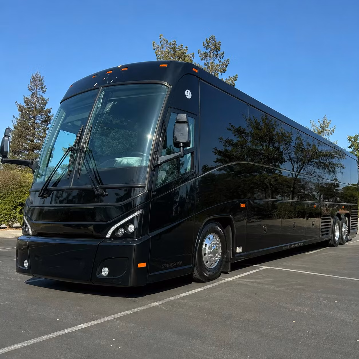 ada accessible and specialized government transportation options in wallingford